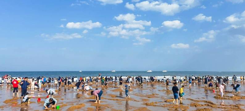 日出拾贝公寓(绿舟南路1号分店)图片