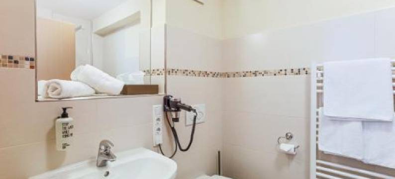 班泽尔瓦尔德贝格酒店(Berggasthof Banzer Wald)图片