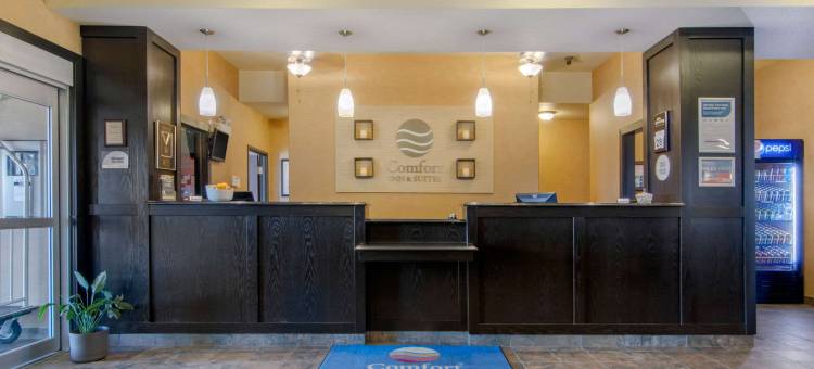 舒适套房酒店(Comfort Inn & Suites)图片