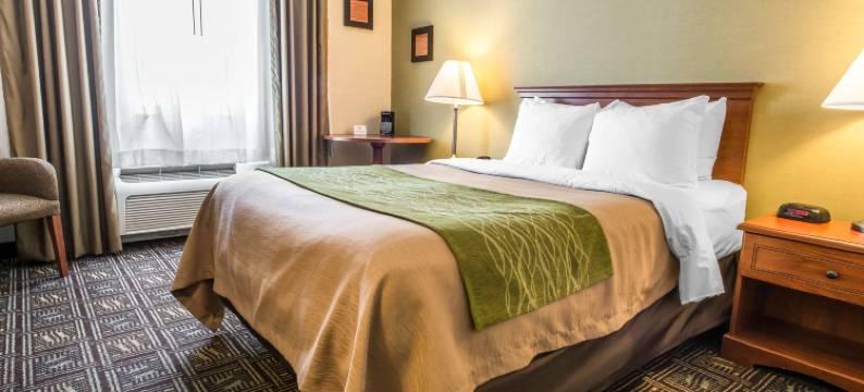 韦尔顿舒适酒店(Comfort Inn)图片