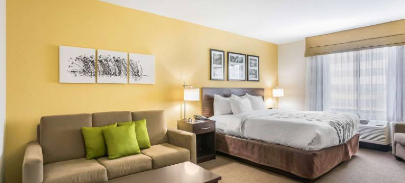 汉尼拔舒眠酒店及套房(Sleep Inn & Suites Hannibal)图片