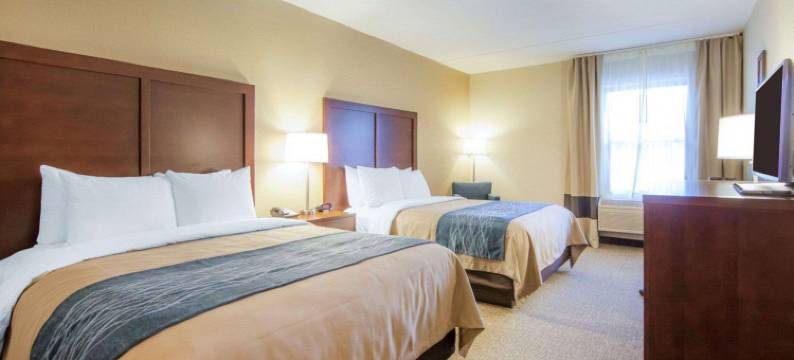 皇家之蓝舒适酒店(Comfort Inn at Royal Blue)图片