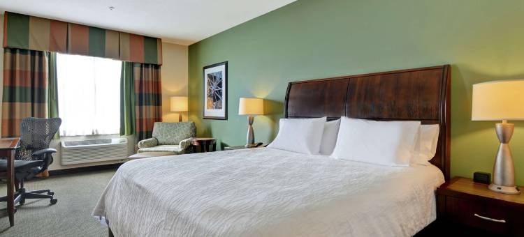 格林贝希尔顿花园酒店(Hilton Garden Inn Green Bay)图片