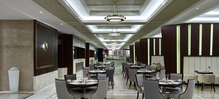 伊斯坦布尔巴森快速路精英世界大酒店(Elite World Grand Istanbul Basın Ekspres)图片