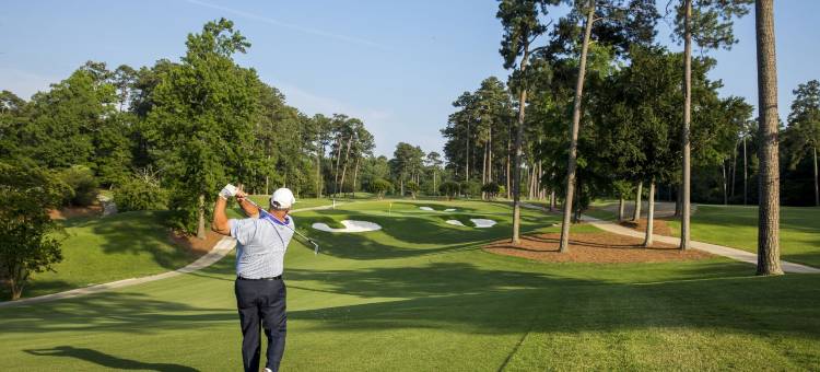 克罗尼尔威廉斯堡酒店(Colonial Houses, an Official Colonial Williamsburg Hotel)图片