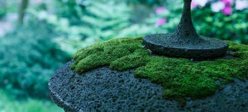 琉璃光酒店(Rurikoh)图片