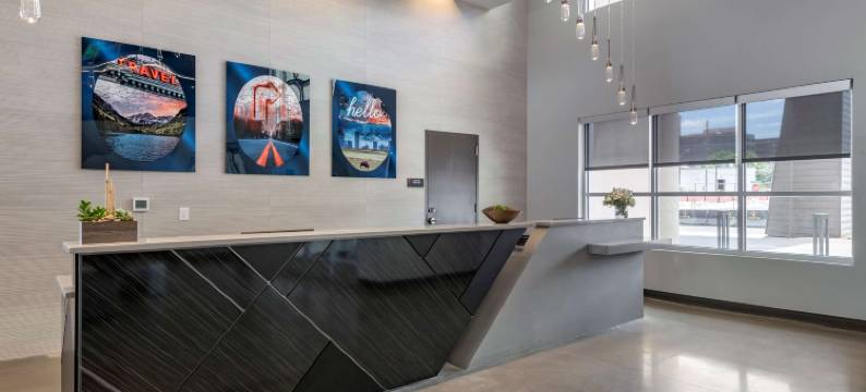 贝斯特韦斯特维博丹佛RiNo酒店(Vīb Hotel by Best Western Denver RiNo)图片