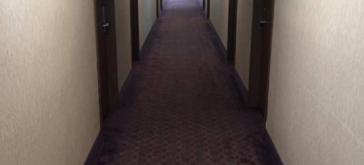 帕迪尤卡美吟酒店(Baymont by Wyndham Paducah)图片