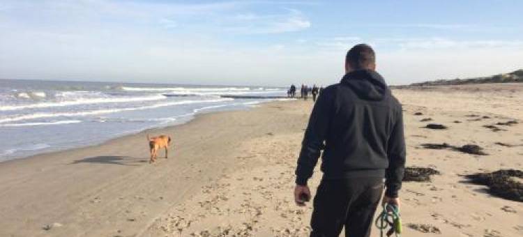 兹帕克兹温德酒店(Zeepark Zeewind)图片