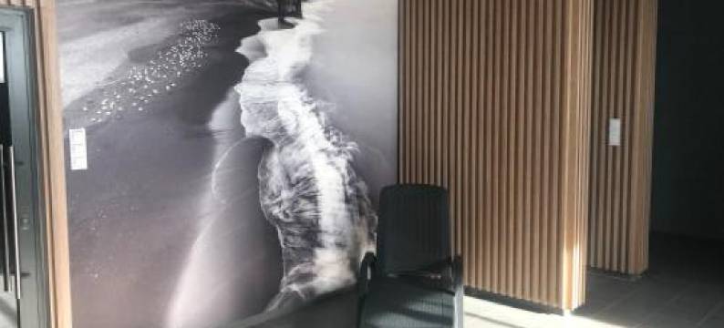 Picaro Kopytkowo A1图片