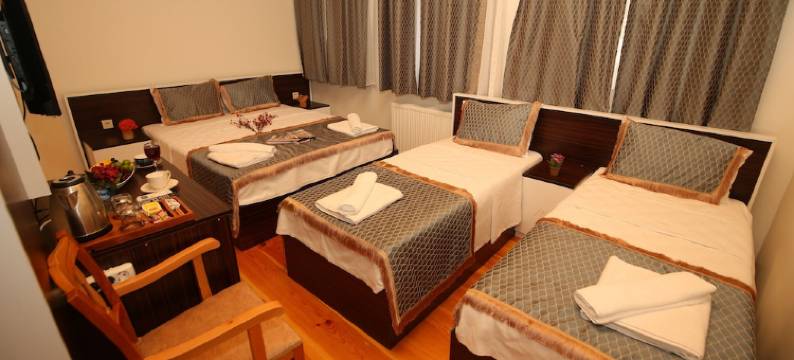 大庭院酒店(Grand Konak Hotel)图片