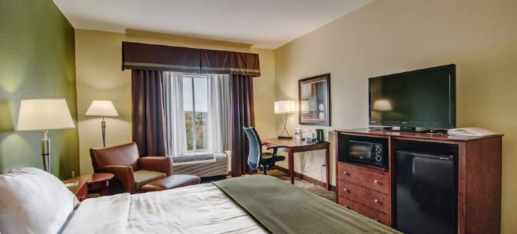 维斯维尔智选假日套房酒店(Holiday Inn Express & Suites Wytheville)图片
