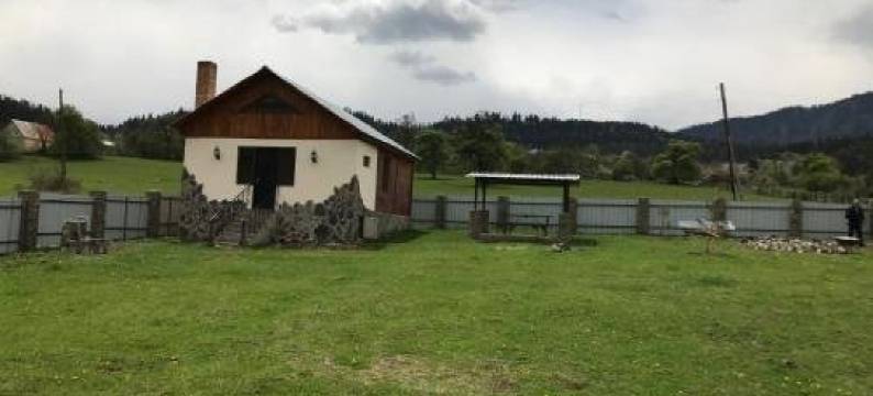 Borjomi Cottage Tsemi图片