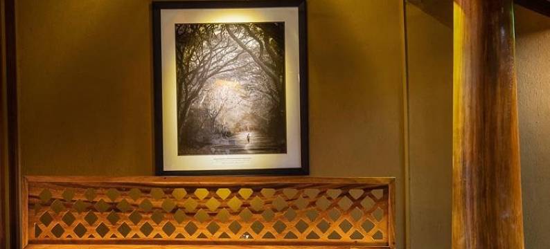 科伦坡Zylan(Zylan Colombo)图片