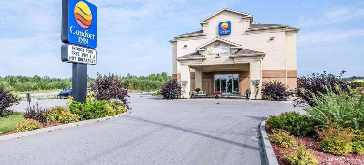 鲟鱼瀑布舒适酒店(Comfort Inn)图片