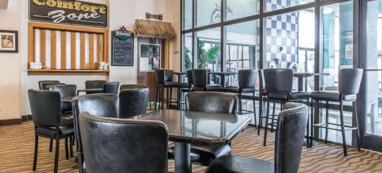 舒适酒店及套房(Comfort Inn & Suites)图片