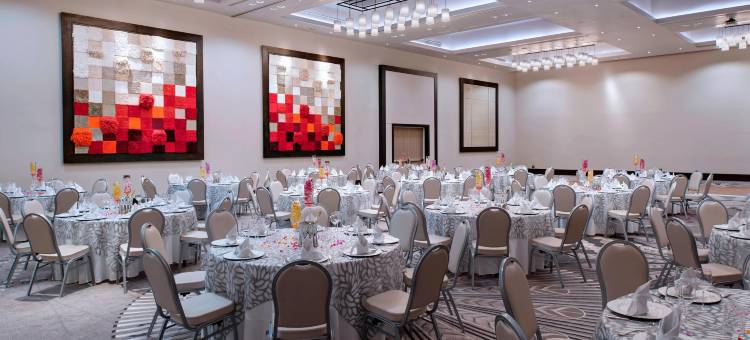 太子港万豪大酒店(Marriott Port-au-Prince Hotel)图片