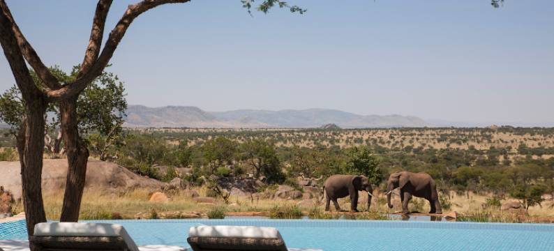 塞伦盖蒂国家公园四季酒店(Four Seasons Safari Lodge Serengeti)图片