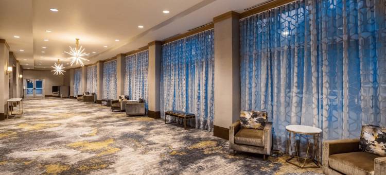 Crowne Plaza 雪兰(Crowne Plaza Shenandoah - Woodlands Area)图片