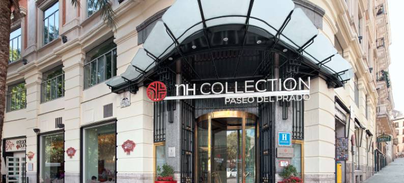 马德里普拉多大道NH典藏酒店(NH Collection Paseo del Prado)图片