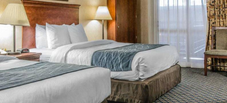 冷水溪凯艺套房饭店 - 靠近 69 号州际公路(Quality Inn & Suites Coldwater Near I-69)图片