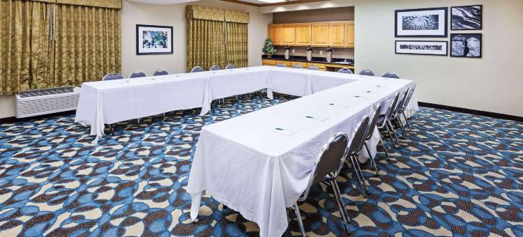 拉伯克丽怡酒店(Country Inn & Suites by Radisson, Lubbock, TX)图片