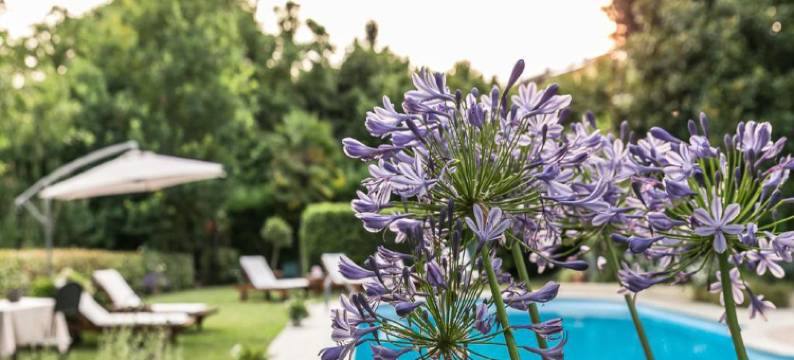 维多利亚酒店(Ristorante Albergo Ca' Vittoria)图片