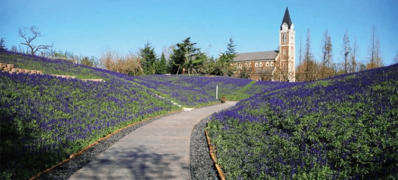 房东小郭子公寓(烟霞大街分店)图片