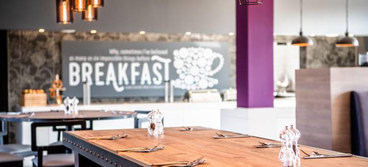 纽伦堡东北区普瑞米尔酒店(Premier Inn Nuernberg City Nordost)图片