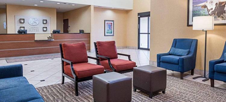 舒适套房酒店(Comfort Suites)图片