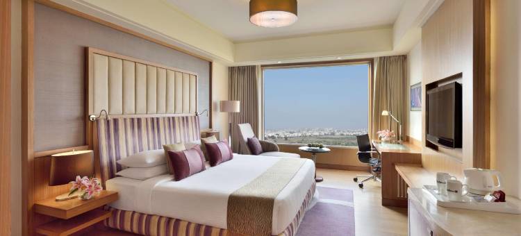 印多尔丽笙酒店(Radisson Blu Hotel, Indore)图片