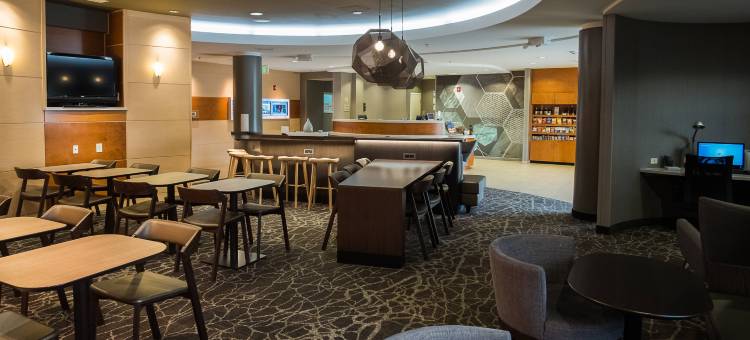 温斯顿塞勒姆哈内斯商城SpringHill Suites 酒店(SpringHill Suites Winston-Salem Hanes Mall)图片