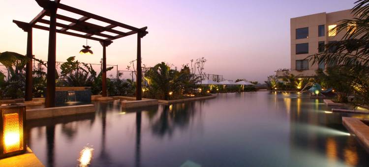 浦那Hyatt酒店(Hyatt Pune)图片