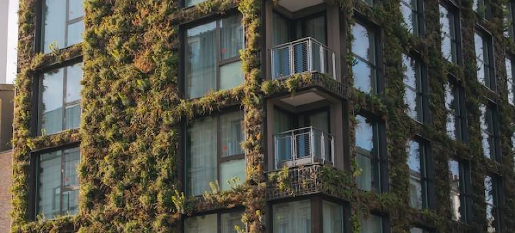 巴黎美丽城酒店(Hotel La Belle Ville Paris)图片