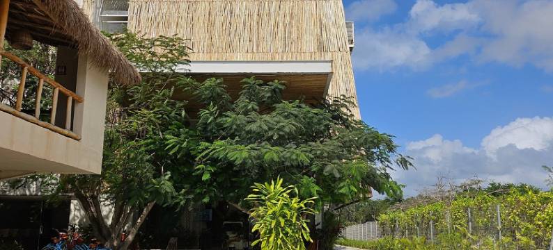 感受图兰(Siente Tulum)图片