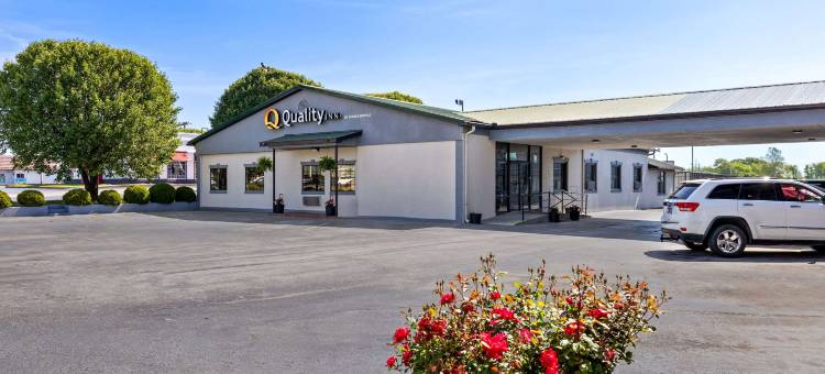 品质酒店(Quality Inn)图片