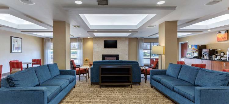 哥伦比亚门户舒适套房酒店(Comfort Suites Columbia Gateway)图片