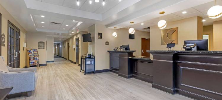 切斯特顿舒适套房酒店(Comfort Inn & Suites Chestertown)图片