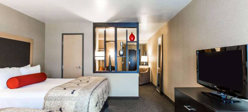 拉皮德城坎布里亚酒店-靠近拉什莫尔山(Cambria Hotel Rapid City Near Mount Rushmore)图片