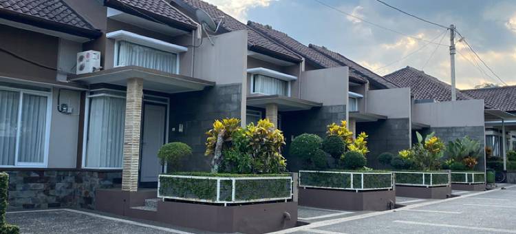 Green Patriot Resort图片