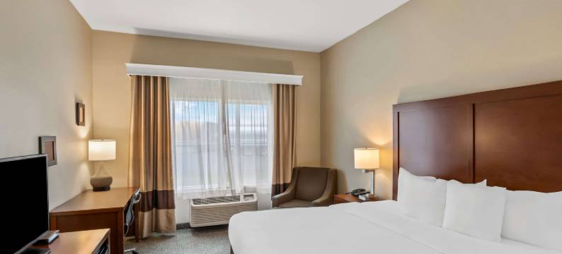 舒适套房酒店(Comfort Inn & Suites)图片