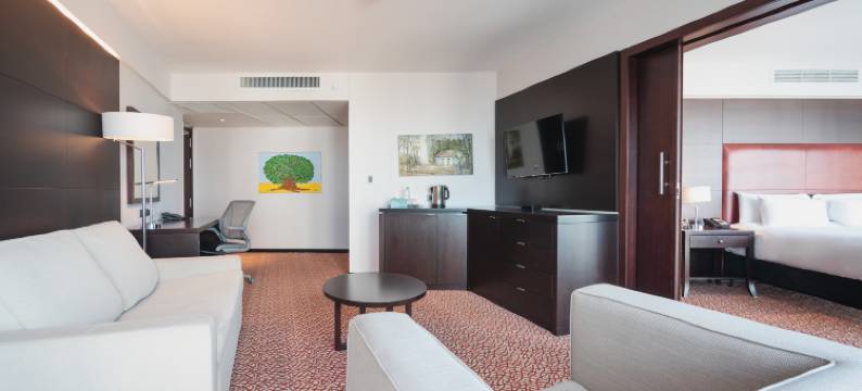 蒙得维的亚希尔顿花园酒店(Hilton Garden Inn Montevideo)图片