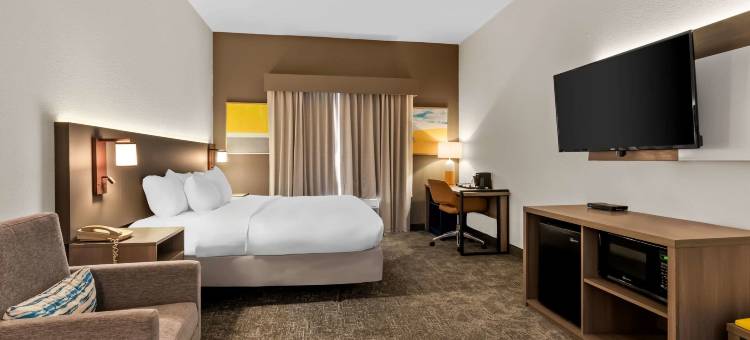 埃尔克城南部的舒适酒店及套房(Comfort Inn & Suites)图片