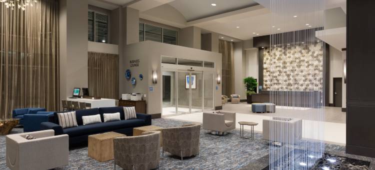 哈格斯兰丁伍德兰斯希尔顿安泊酒店(Embassy Suites by Hilton the Woodlands® at Hughes Landing)图片