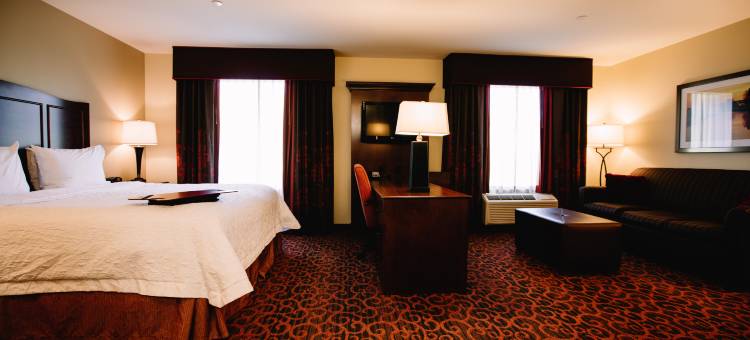 迈诺特欢朋酒店及套房(Hampton Inn & Suites Minot Airport)图片