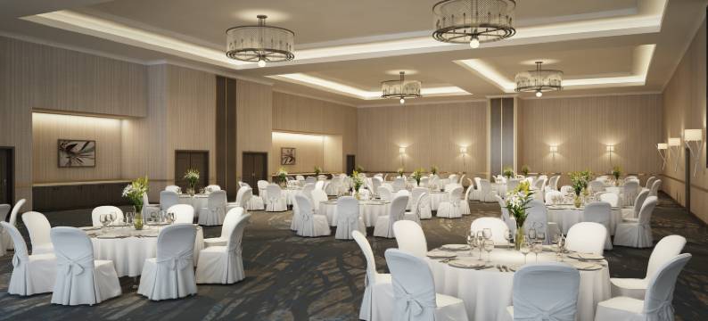 圣安东尼奥布鲁克斯城市基地安泊水疗酒店(Embassy Suites San Antonio Brooks Hotel & Spa)图片