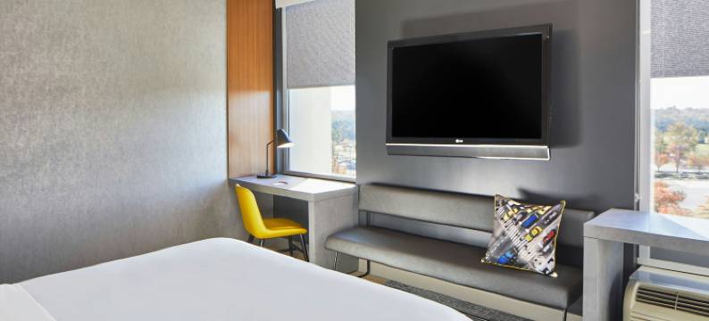 杜勒斯机场北雅乐轩酒店(Aloft Dulles Airport North)图片