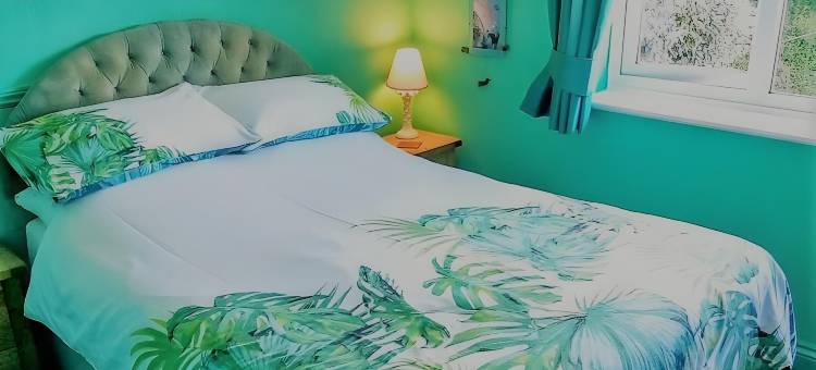 盖伦特雷斯旅馆(Gallen-Treath Guest House)图片