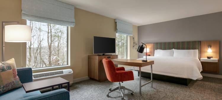 约翰斯克里克欢朋套房酒店(Hampton Inn & Suites Johns Creek)图片