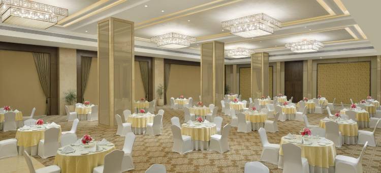 塔吉天际线艾哈迈达巴德酒店(Taj Skyline Ahmedabad)图片